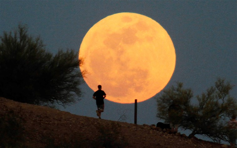 Puncak Purnama November Supermoon Memukau Dunia: Fenomena Langit Terbesar 2025