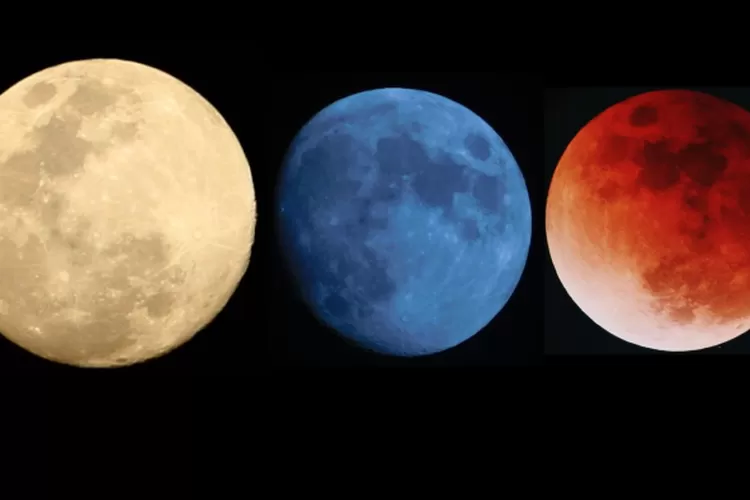 Puncak Purnama November Supermoon Memukau Dunia: Fenomena Langit Terbesar 2025