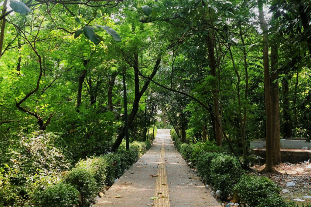 15 Hidden Gems Jakarta 2025: Spot Urban Secret Terbaik untuk Gen Z